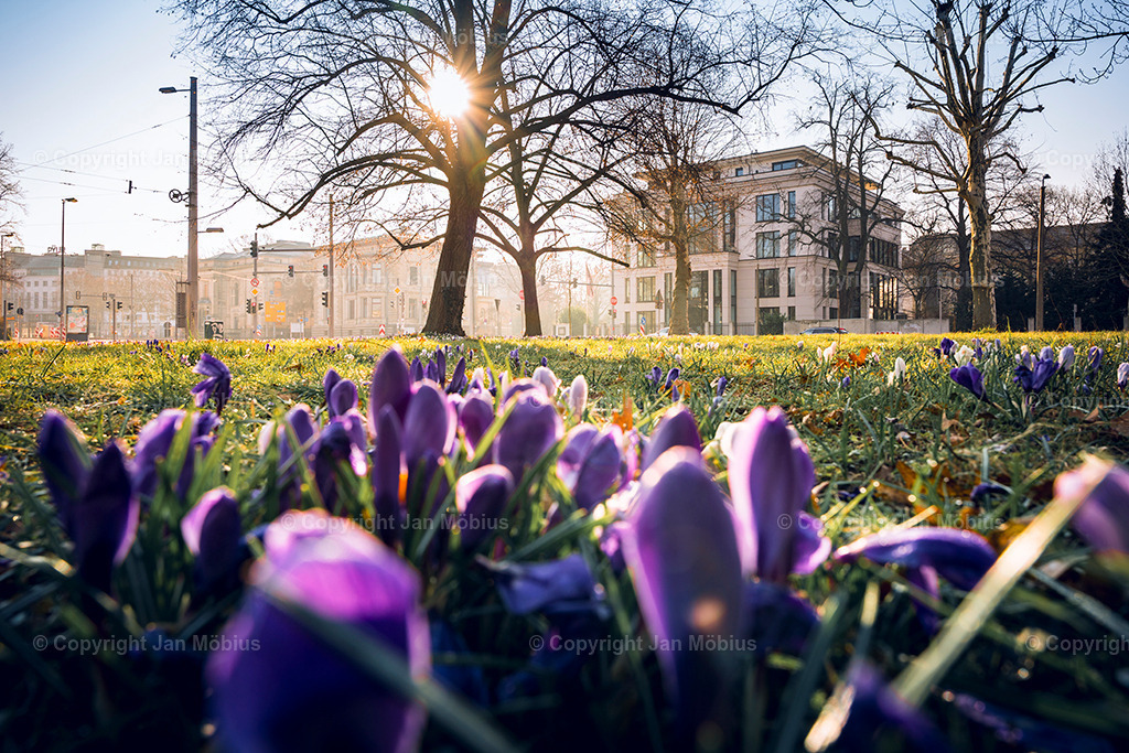_DSC0252 | Leipzig Wandbilder Drucke Prints Leinwand Stadtmotive Leipzig Fotosdruck Kunstdrucke Bilder Leipzig Stadtansichten Acrylglasbilder Leipzig Wanddeko Fine Art Prints Wandbilder Büro Leipzig Bilder Praxis Zuhause Bilderdruck Poster Posterlounge Kunstdrucke - Realisiert mit Pictrs.com
