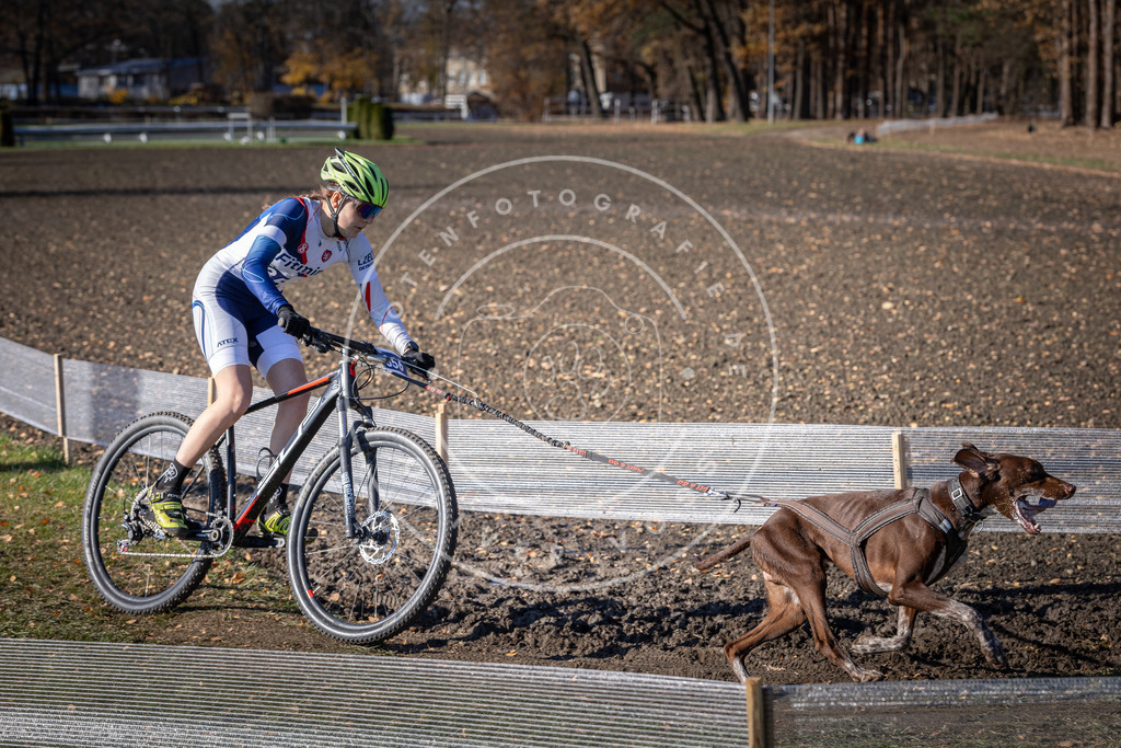 CaniXpix_DV3A7281 | Hundefotografie, Tierfotograf, Pfotenfotografie, Fotoshooting Hund, Hunde Portrait, Hundesport, Hundeportraits, Heideshooting, Hunde, Sportfotograf, Hundefotograf, Turnierhundsport, THS,  - Realisiert mit Pictrs.com