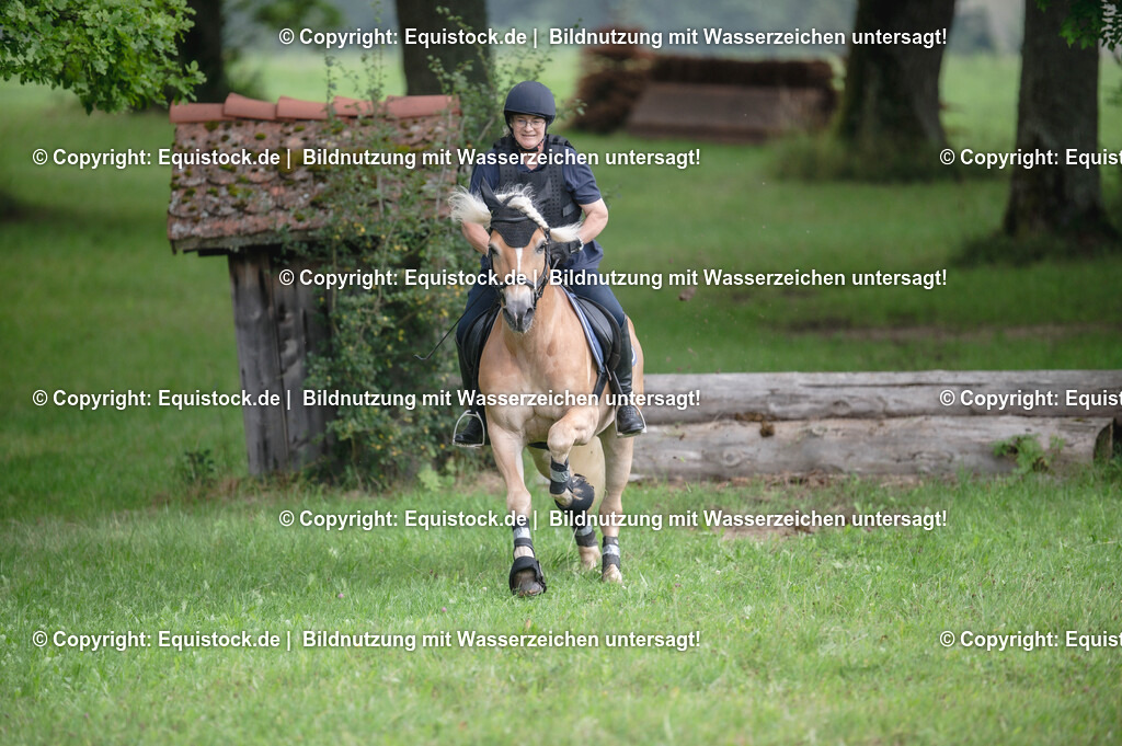 20250726_Vielseitigkeitslehrgang-Marbach_0512 | Foto: Thomas Hartig