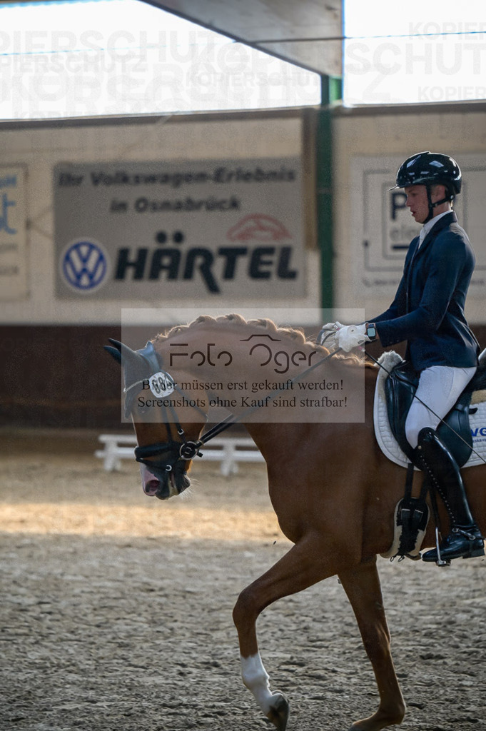 Reitturnier Voxtrup | Entdecke hochwertige Reitturnierfotos von Foto Oger. Professionell, emotional und authentisch – jetzt Lieblingsmomente im Shop bestellen.Deutschlandweite Turnierfotografie. - Realisiert mit Pictrs.com