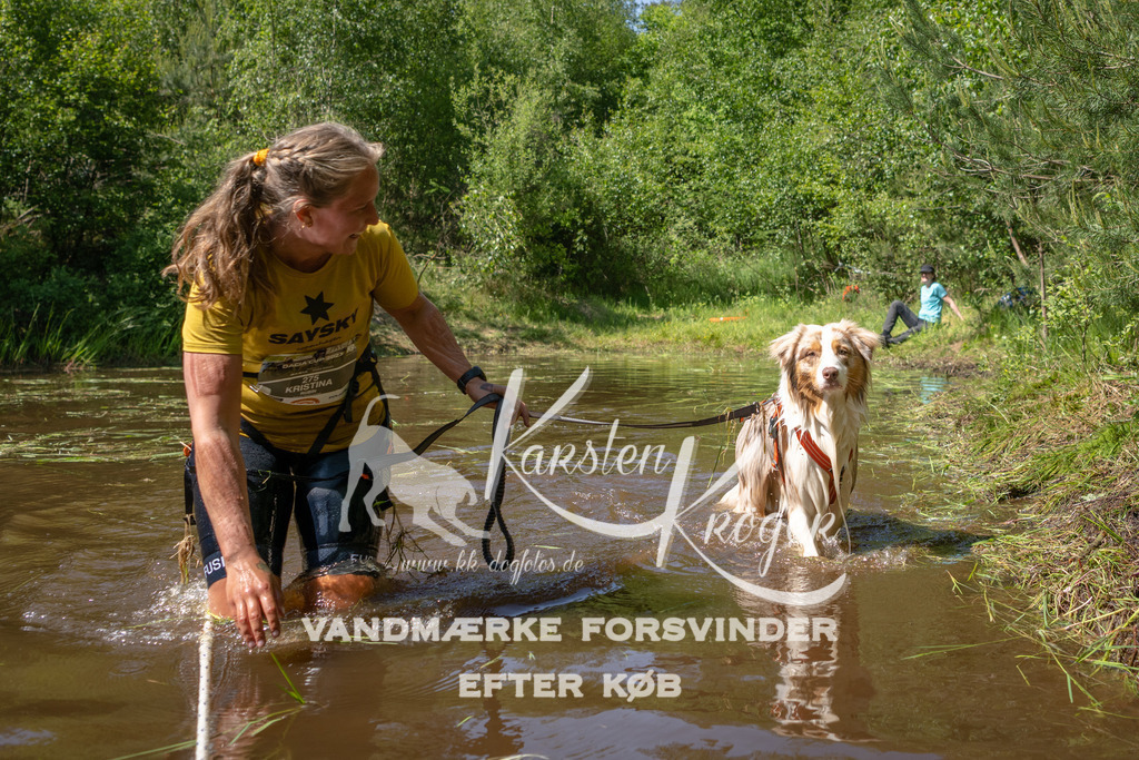 1501DKK992241 | kk-dogfotos