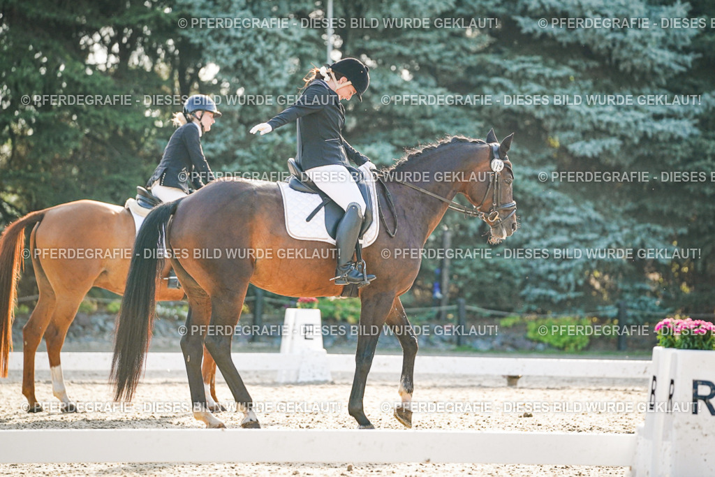 DSC08116 | Pferdegrafie