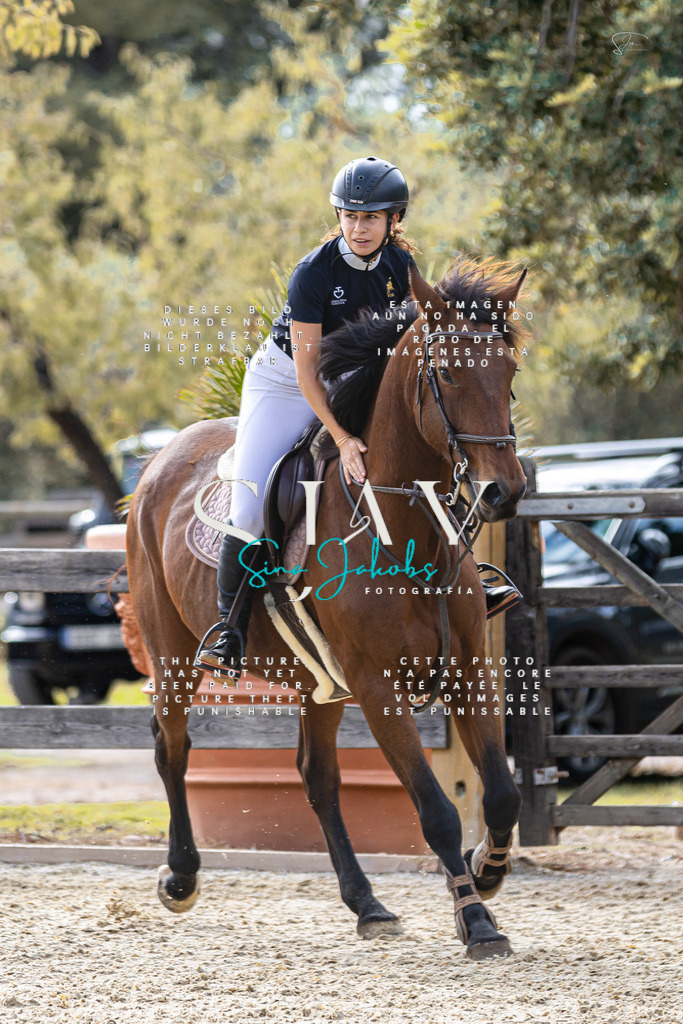 IMG_5537 | s-jay-photography - Realisiert mit Pictrs.com