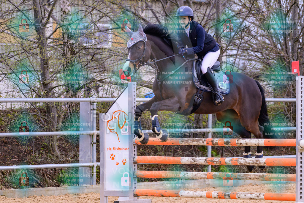 10042026-Mammendorf-Prfg17-0662 | Fokus Hufschlag Fotografie - Realisiert mit Pictrs.com