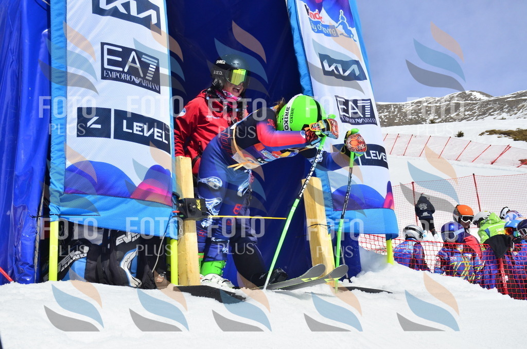 _ELE1418 | holidayphoto