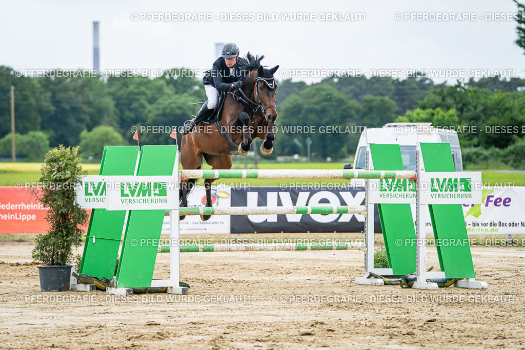 DSC07071 | Pferdegrafie