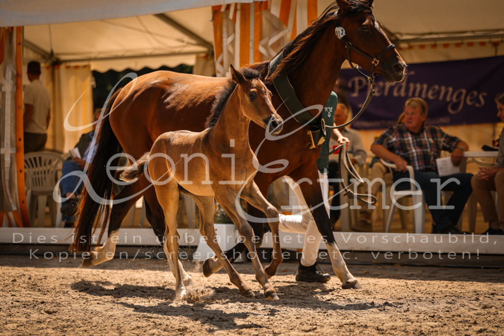 03.DoAB00085 | Leoni Ertmer Photography - Realisiert mit Pictrs.com