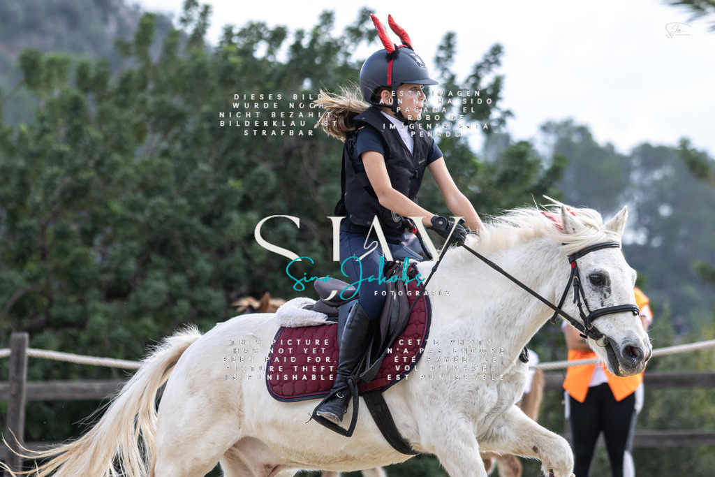 IMG_2276 | s-jay-photography - Realisiert mit Pictrs.com