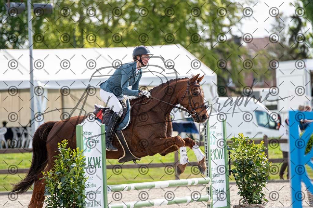 KPT_4802 | andre_photographic