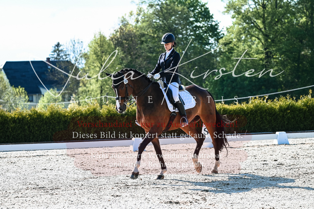 20230513_JK-Röhrsdorf-10-0044 | Pferde- und Turnierfotografie in Westsachsen. Pferdeportraits, Auftragszeichnungen und intuitive Kunst.