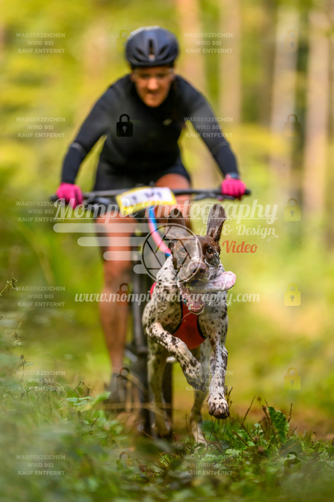 MompixPhotography_Yens2025_B2-27 | PayLife