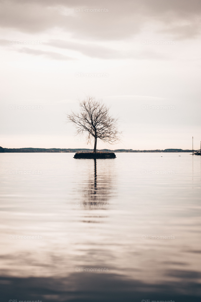 Bauminsel | Eine kleine Bauminsel im ruhigen Gewässer – ein harmonisches und beruhigendes Naturmotiv. Dieses stimmungsvolle Fotokunstwerk eignet sich perfekt als Kunstdruck zur Gestaltung entspannter und naturnaher Räume. - Realisiert mit Pictrs.com
