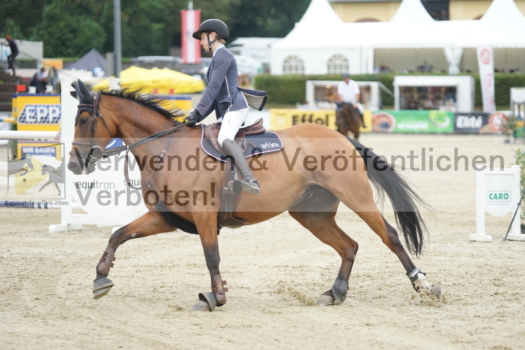 DSC08560 | equestrian-live-com