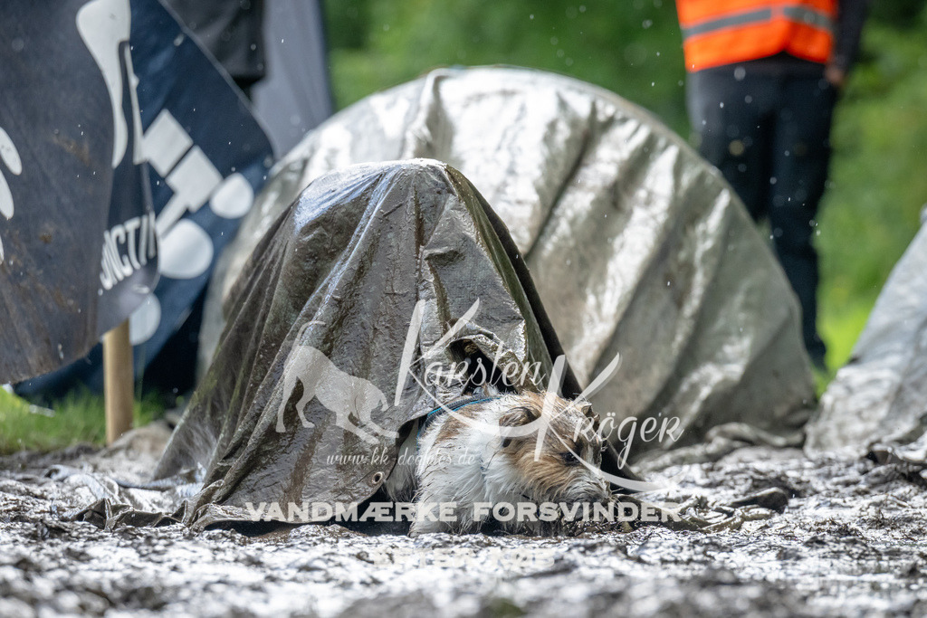1147_ZZ94296 | kk-dogfotos