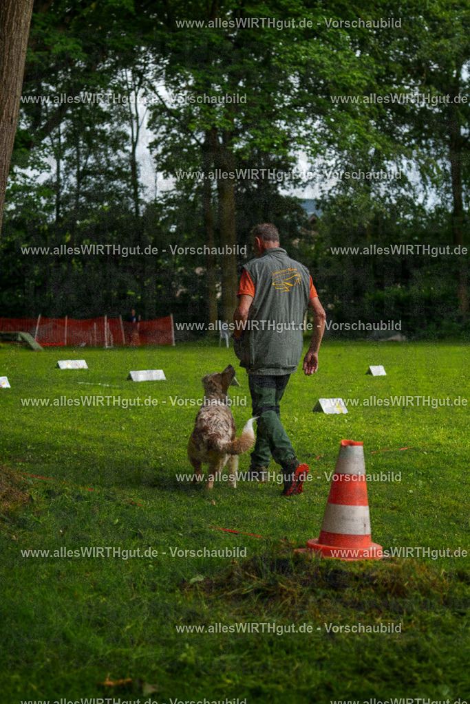 @allesWIRTHgut_Tierfotografie - www.allesWIRTHgut.de - 7R502936 | Professionelle Tierfotografie in Mönchengladbach von Daniel Wirth (allesWIRTHgut). Liebevolle & natürliche Bilder von Hunden & Katzen für unvergessliche Erinnerungen.