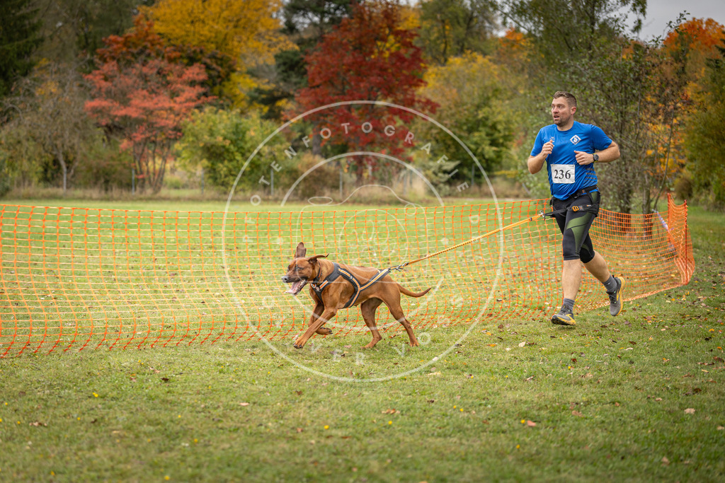 Pfotenfotografie_DV3A4436 | Hundefotografie, Tierfotograf, Pfotenfotografie, Fotoshooting Hund, Hunde Portrait, Hundesport, Hundeportraits, Heideshooting, Hunde, Sportfotograf, Hundefotograf, Turnierhundsport, THS,  - Realisiert mit Pictrs.com