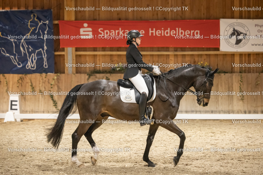 _D5A0649 | Emotionale Pferde- & People-Fotografie rund um Heidelberg, Leimen & Umgebung. Natürliche Fotos von Pferd, Mensch & Familie. Jetzt Termin sichern!