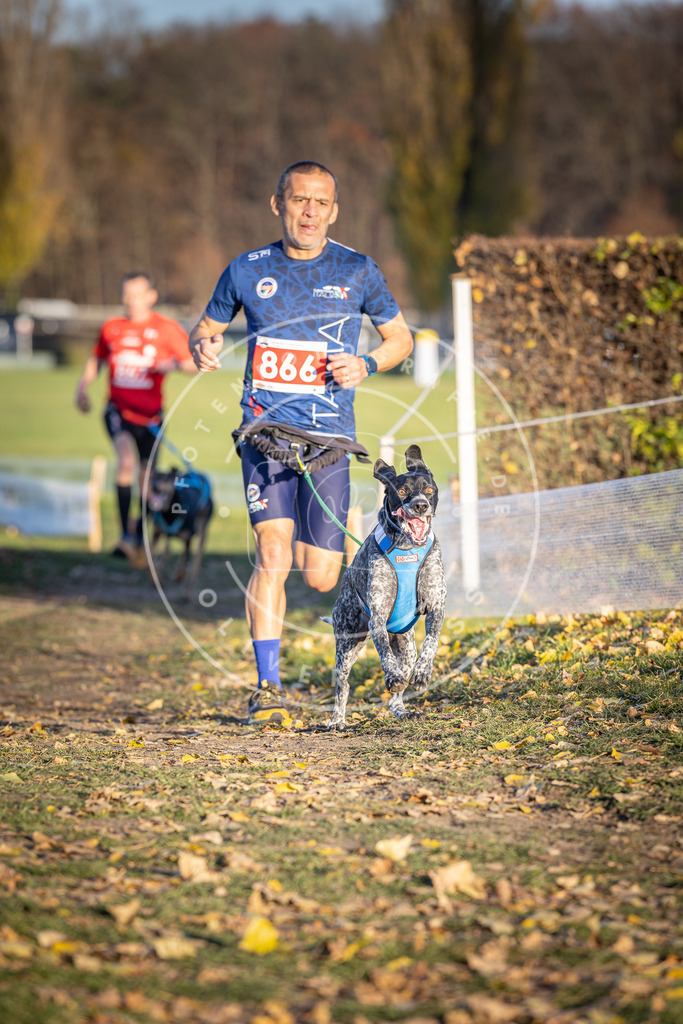CaniXpix_DV3A4108 | Hundefotografie, Tierfotograf, Pfotenfotografie, Fotoshooting Hund, Hunde Portrait, Hundesport, Hundeportraits, Heideshooting, Hunde, Sportfotograf, Hundefotograf, Turnierhundsport, THS,  - Realisiert mit Pictrs.com