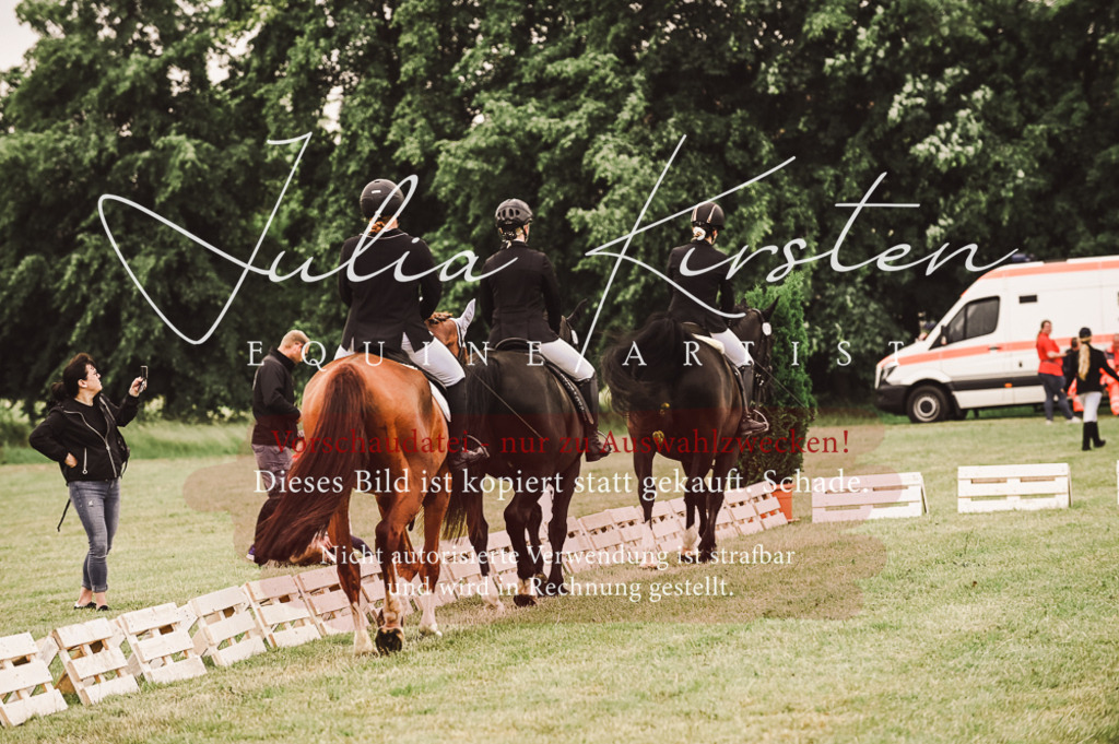 DSC_5133 | Pferde- und Turnierfotografie in Westsachsen. Pferdeportraits, Auftragszeichnungen und intuitive Kunst.