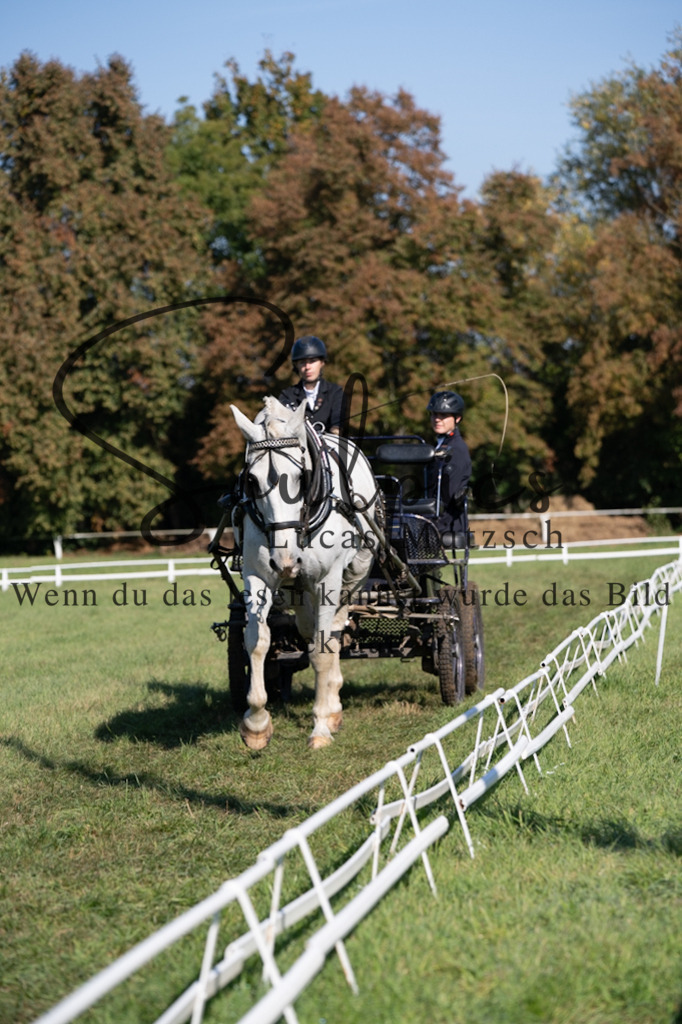 A7V04263 | Pferdefotograf