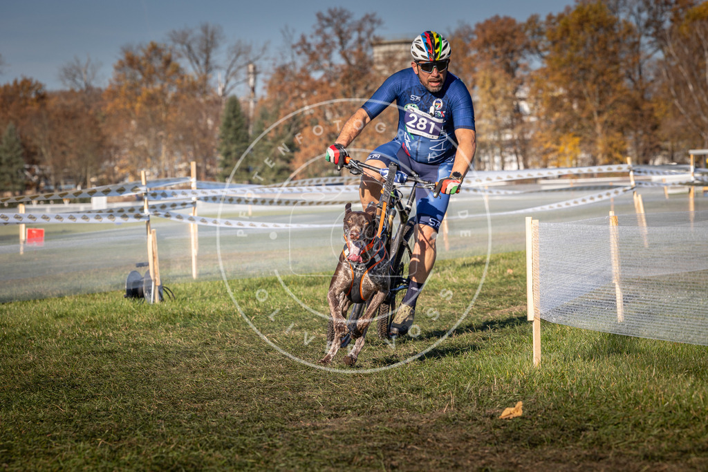 CaniXpix_0L8A5246 | Hundefotografie, Tierfotograf, Pfotenfotografie, Fotoshooting Hund, Hunde Portrait, Hundesport, Hundeportraits, Heideshooting, Hunde, Sportfotograf, Hundefotograf, Turnierhundsport, THS,  - Realisiert mit Pictrs.com