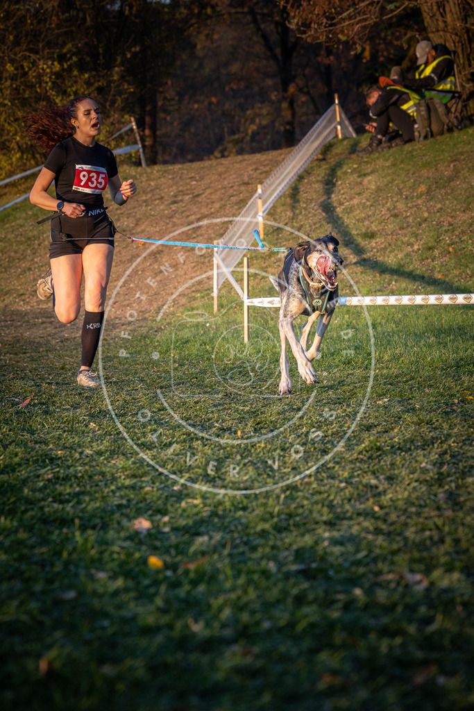 CaniXpix_0L8A1806 | Hundefotografie, Tierfotograf, Pfotenfotografie, Fotoshooting Hund, Hunde Portrait, Hundesport, Hundeportraits, Heideshooting, Hunde, Sportfotograf, Hundefotograf, Turnierhundsport, THS,  - Realisiert mit Pictrs.com