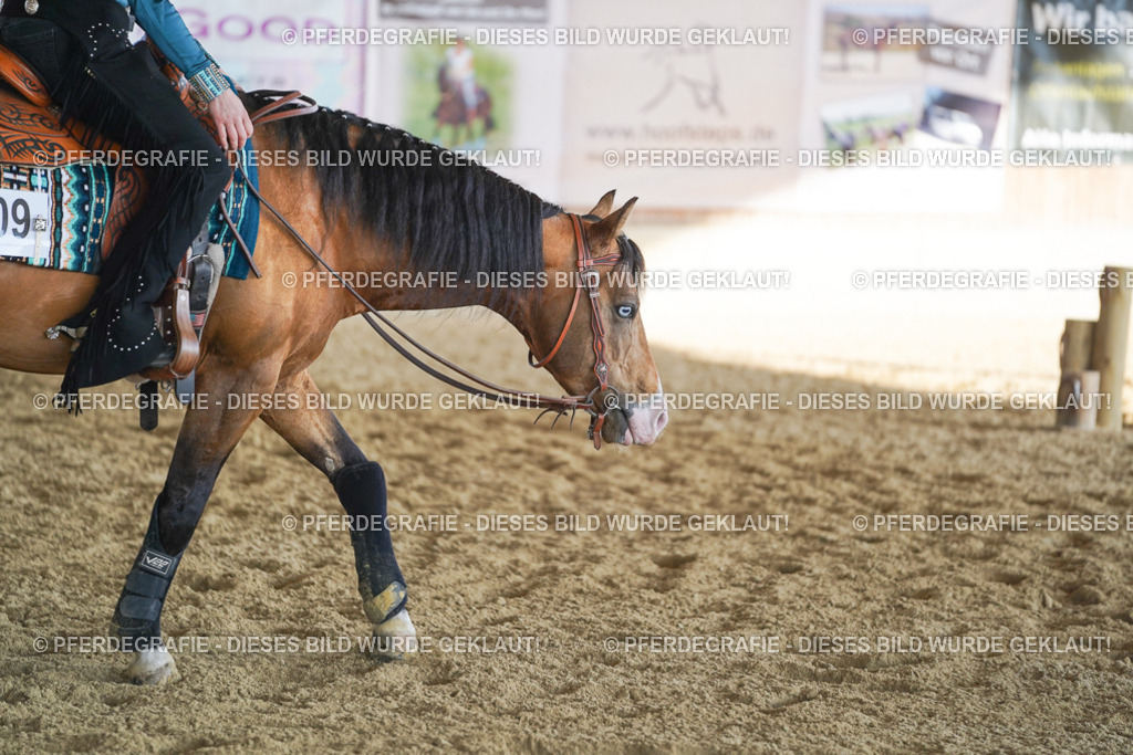 DSC09552 | Pferdegrafie