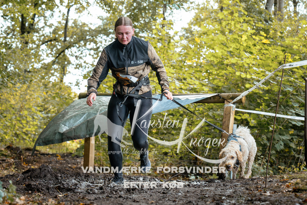 1419DZ6_1628Z6 | kk-dogfotos