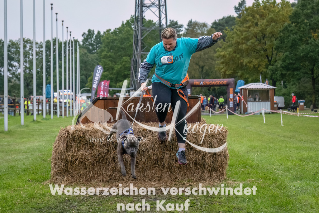 1203--5 | kk-dogfotos