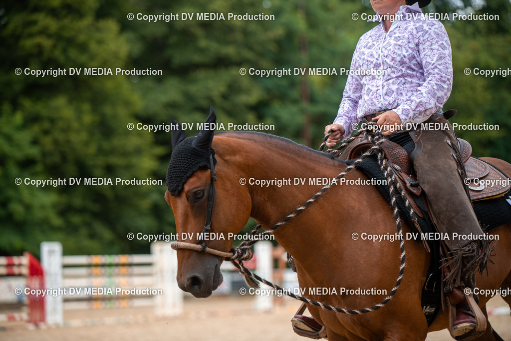 ZS2_8150 | dv-media-shop - Realisiert mit Pictrs.com