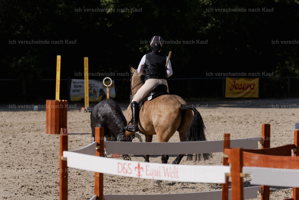 WS_SP_75_SinaFilmArt_IN09067 | working equitationturnier fotograf videograf stoibphotography marixx film working equitation deutschland reitsport turnierfotografie eventfotografie equestrian events