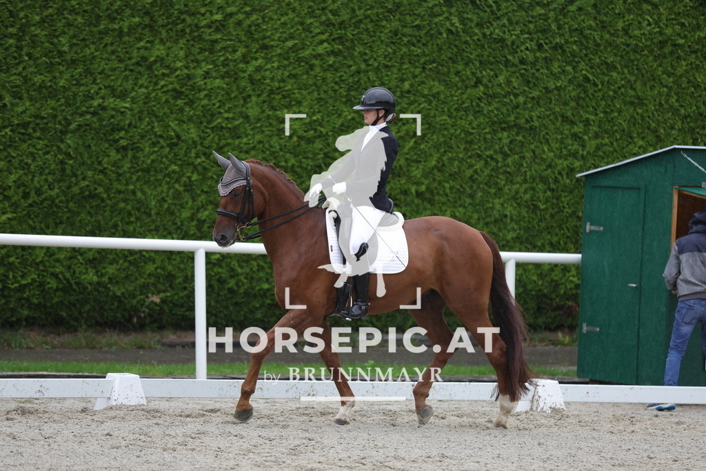 0P6A0708 | Willkommen bei Brunnmayr - Design & Fotografie – Ihrem Spezialisten für Reitturniere und Pferdeveranstaltungen in Oberösterreich, Salzburg und Bayern! Seit über 17 Jahren sind wir leidenschaftlich dabei.