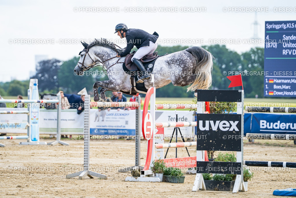 DSC06712 | Pferdegrafie