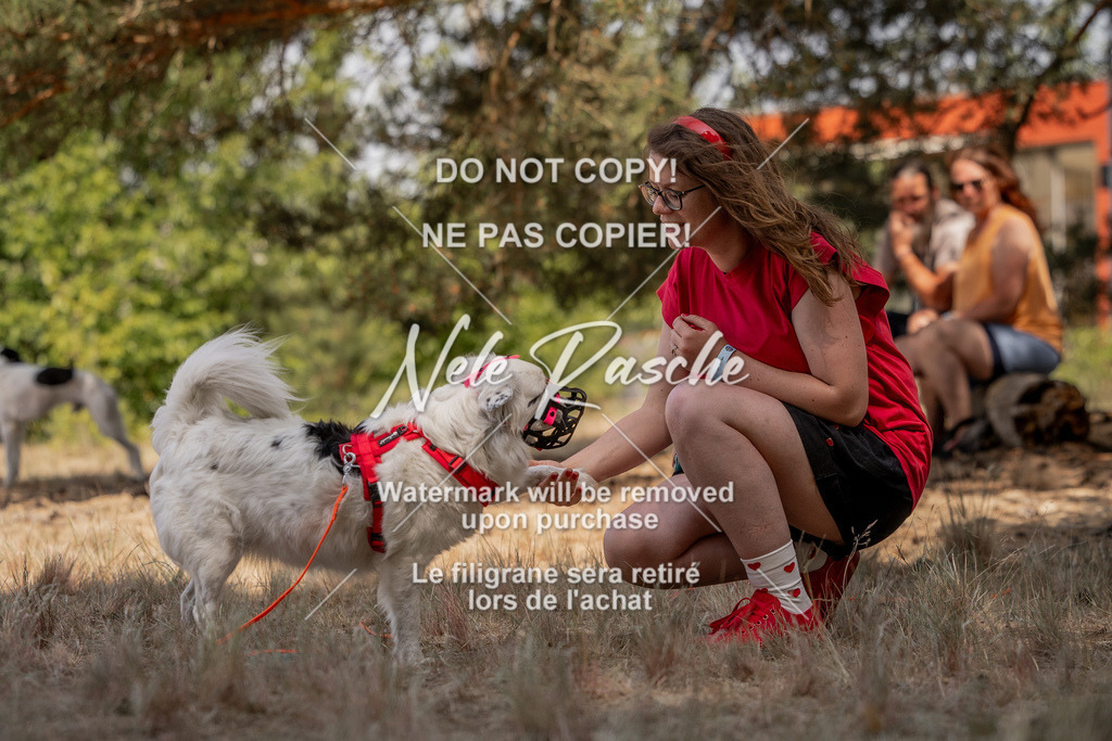 nelerasche_soDD2_382 | nelerasche