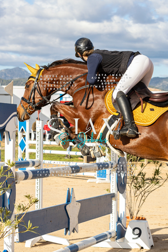 IMG_1613 | s-jay-photography - Realisiert mit Pictrs.com