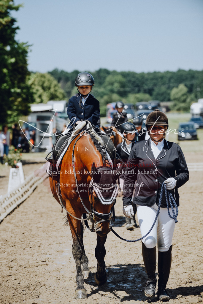 DSC_2420 | Pferde- und Turnierfotografie in Westsachsen. Pferdeportraits, Auftragszeichnungen und intuitive Kunst.