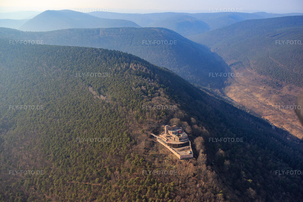 Luftbild: Burgruine Rietburg in Rhodt unter Rietburg im Bundesland Rheinland-Pfalz in Deutschland. Foto: IMG_086485.jpg vom 18.03.2016 durch Werner Riehm/FLY-FOTO.de