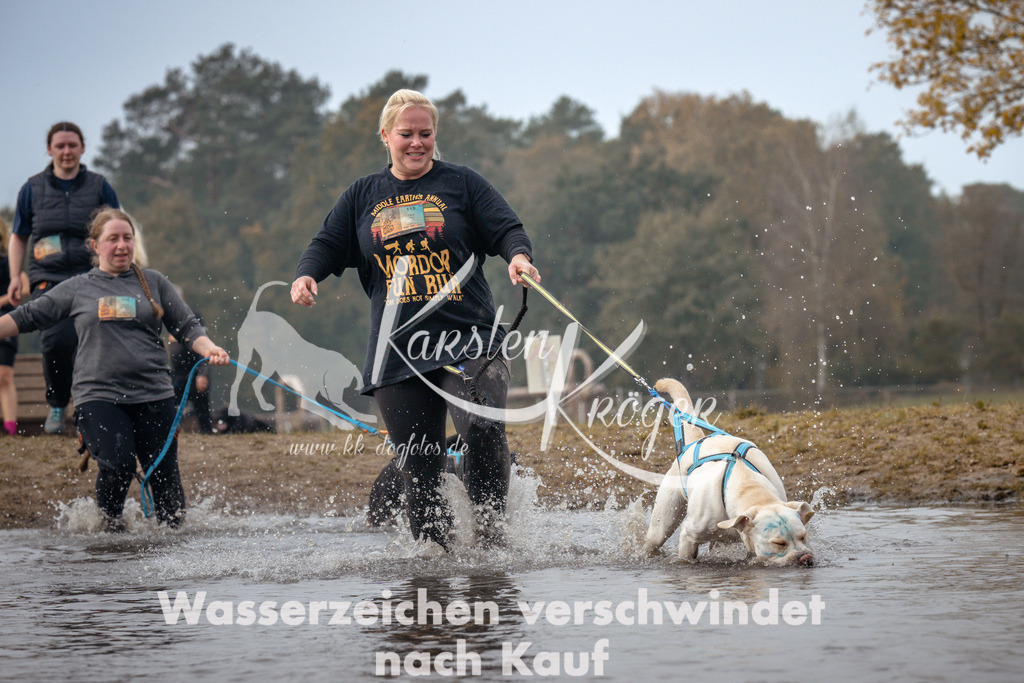 1114_ZZ93364 | kk-dogfotos