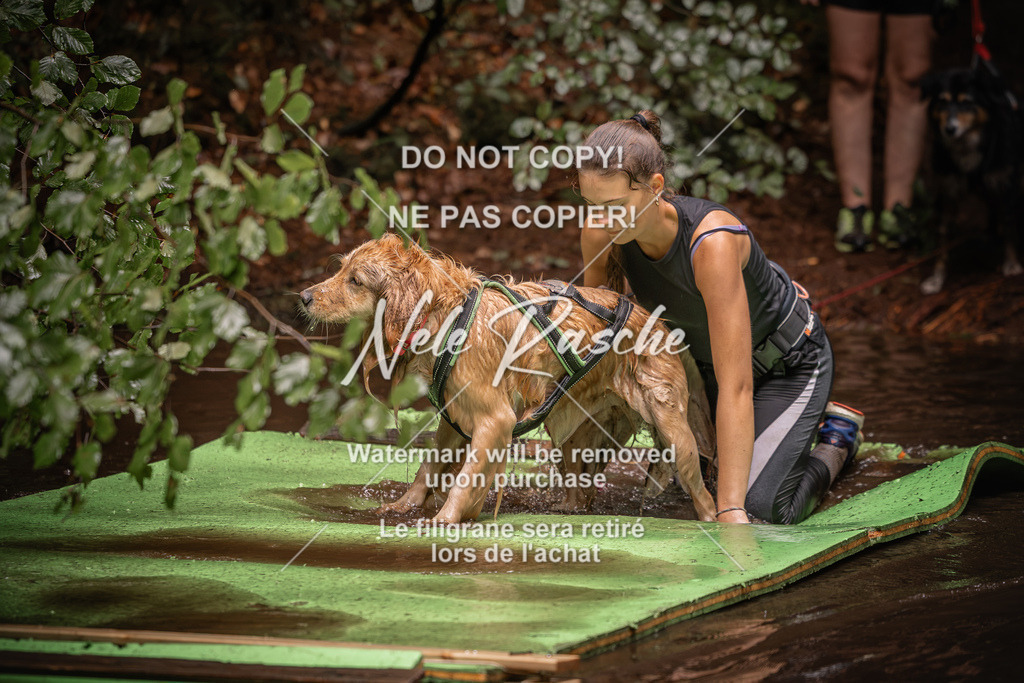 nelerasche_Wingst_Sa1330-1400_329 | nelerasche