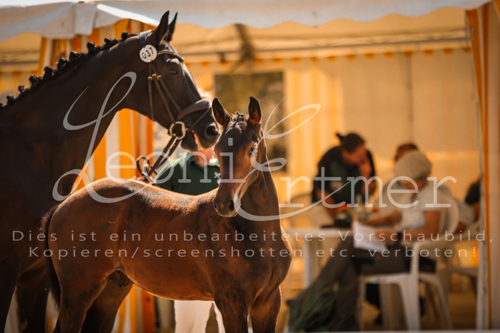 07.DoWBS00043 | Leoni Ertmer Photography - Realisiert mit Pictrs.com