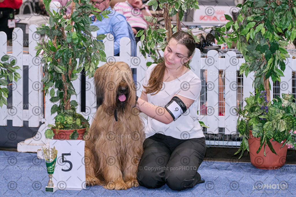 202406_ÖKV-IHA-Tulln24_NZ9_8581 | proPHOTO - Realisiert mit Pictrs.com