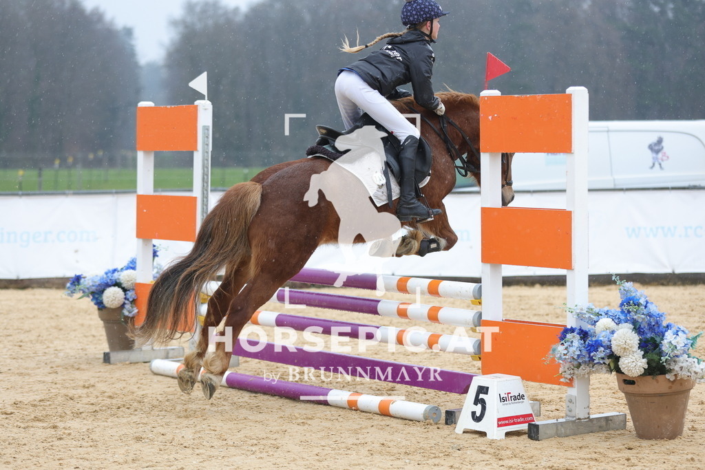 0P6A7273 | Willkommen bei Brunnmayr - Design & Fotografie – Ihrem Spezialisten für Reitturniere und Pferdeveranstaltungen in Oberösterreich, Salzburg und Bayern! Seit über 17 Jahren sind wir leidenschaftlich dabei.