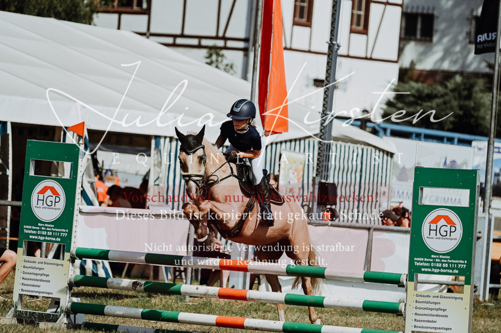 DSC_9342 | Pferde- und Turnierfotografie in Westsachsen. Pferdeportraits, Auftragszeichnungen und intuitive Kunst.