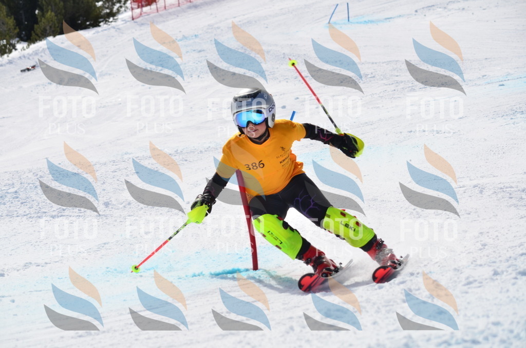 C9906 | holidayphoto