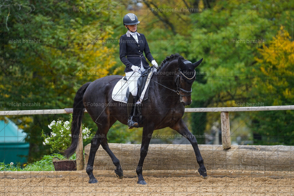 20221008-FAH01903 | Diessen am Ammersee, 2022, Dressur- und Springturnier, Reitsportbilder, Turnierfotografen Bayern, Pferdefotografen, Fotoagentur Herrmann, Turnierbilder