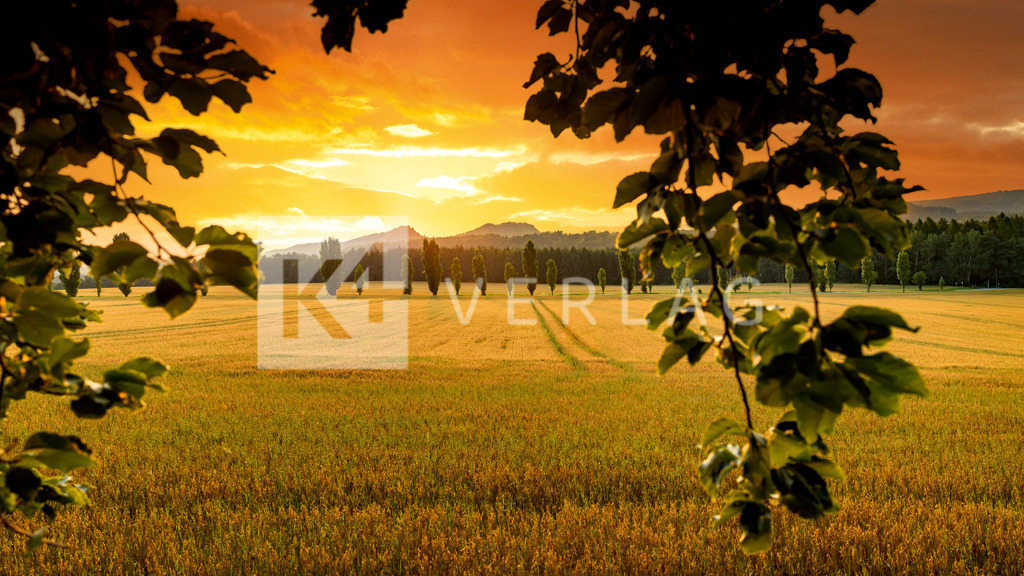 Wandbild-Panorama-Baerensteine-Napoleonstrasse-0U3A6881 | Napoleonstraße am Lilienstein mit beiden Bärensteinen im Hintergrund - Realisiert mit Pictrs.com