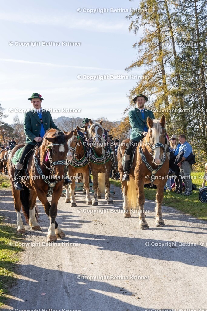 LBT24-1367 | foto-bettina-krinner - Realisiert mit Pictrs.com