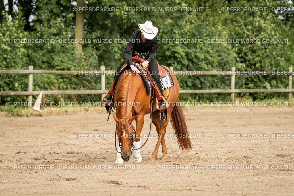 DSC05308 | Pferdegrafie