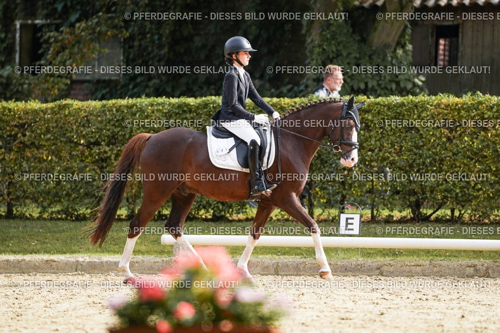 DSC05037 | Pferdegrafie