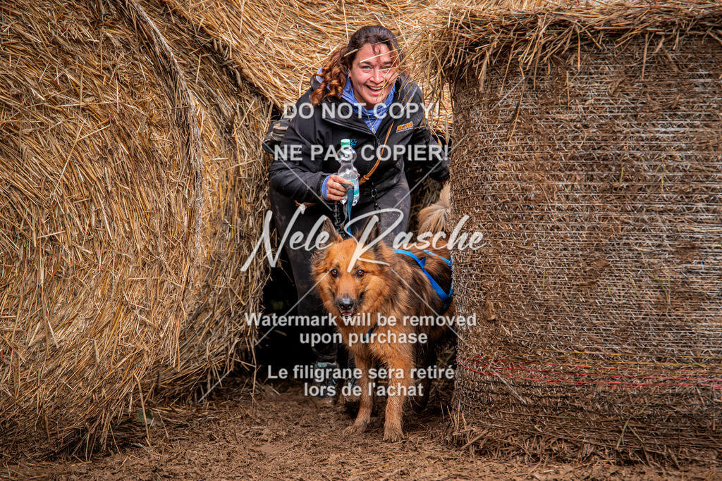 nelerasche_Hunsrück_So09-11_318 | nelerasche